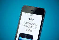 Why smaller retailers should give Apple Pay the cold shoulder{{}}