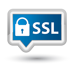 If your customers don’t know what SSL is, do you need it?/SSL secure{{}}