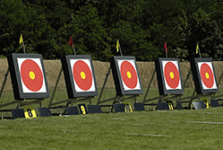 Free competitive analysis tools for your business/archery targets{{}}