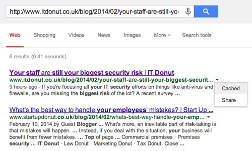 Google cached search result