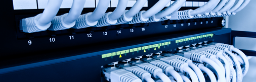 Computer networking, represented by network cables