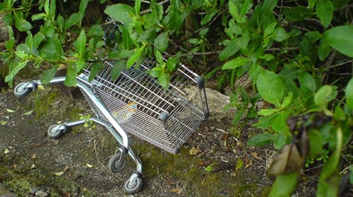 Abandoned shopping trolley{{}}