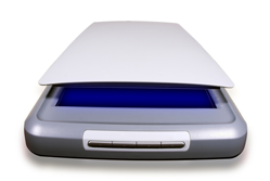 Flatbed document scanner