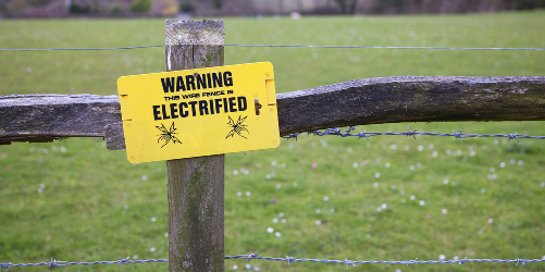 Electric fence{{}}